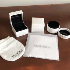 Pandora Packaging and New Polish Cloth